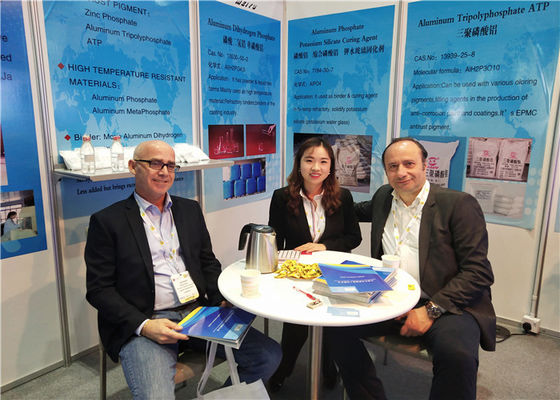 Industrial Grade Zinc Phosphate for Anti-corrosion Paint and Electronic Materials